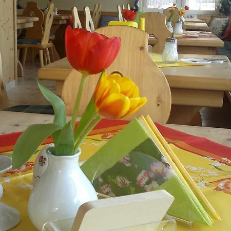 An Der Erzgebirgsbahn Guest house Oberwiesenthal